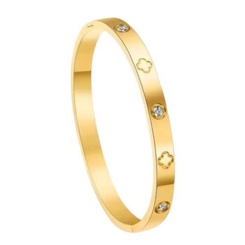 Gold Stainless Steel Zirconia Bangle Bracelet